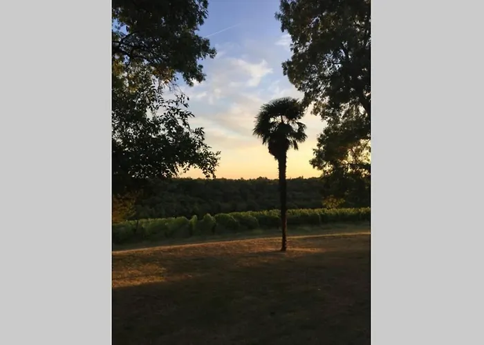 Chateau Du Grava Villa Haux (Gironde)